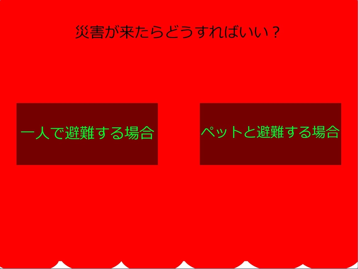 猫ちゃん災害ブック