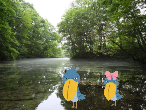 走れハシビロコウ!〜乾いた大地を救え〜